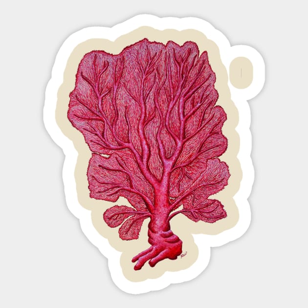 Coral Venus red seafan Sticker by chloeyzoard